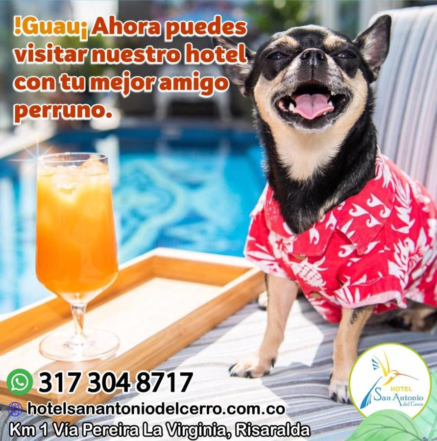 Hotel San Antonio Del Cerro Cerritos Extérieur photo